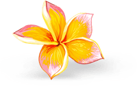 bg-image